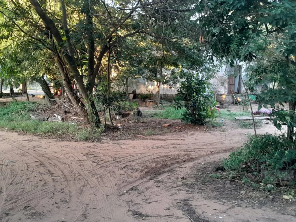 VENDO TERRENO EN SAN BERNARDINO COD 5291 — photo 3
