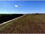 Campo Agrícola/Ganadero en Tacuaras - 470 Ha.