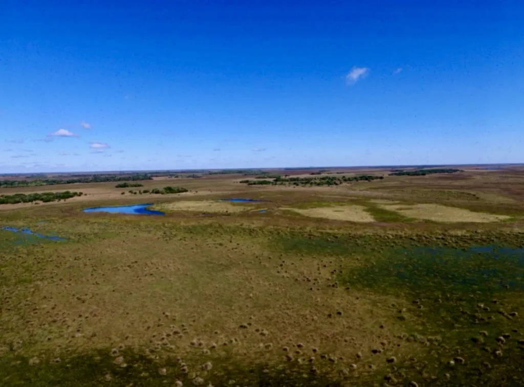 Campo AgrícolaGanadero en Tacuaras - 470 Ha. — foto 2