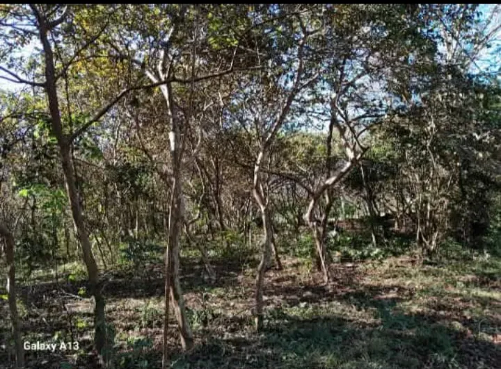 VENDO PROPIEDAD GRANDE EN ITAUGUA 🏡 — foto 3