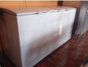Oportunidad única de emprender! FABRICA DE HIELO+freezer