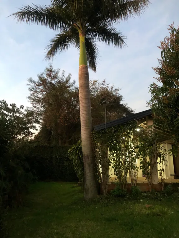 Hermosa casa en venta en Encarnación. Barrio María Auxiliadora. Encarnación — foto 2