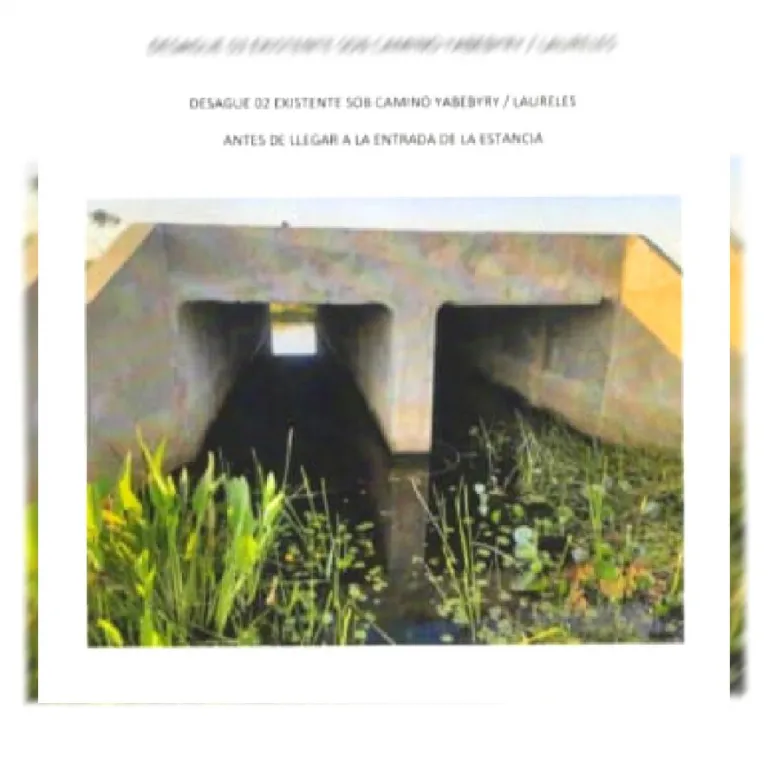 2.500 has., p Cultivo de Arroz 🌾. Misiones San Ignacio. Proyecto c03 años gracia. SIC — foto 3
