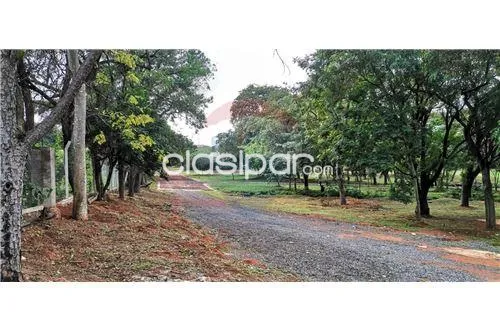 Vendo Terreno en Villa Elisa — foto 3
