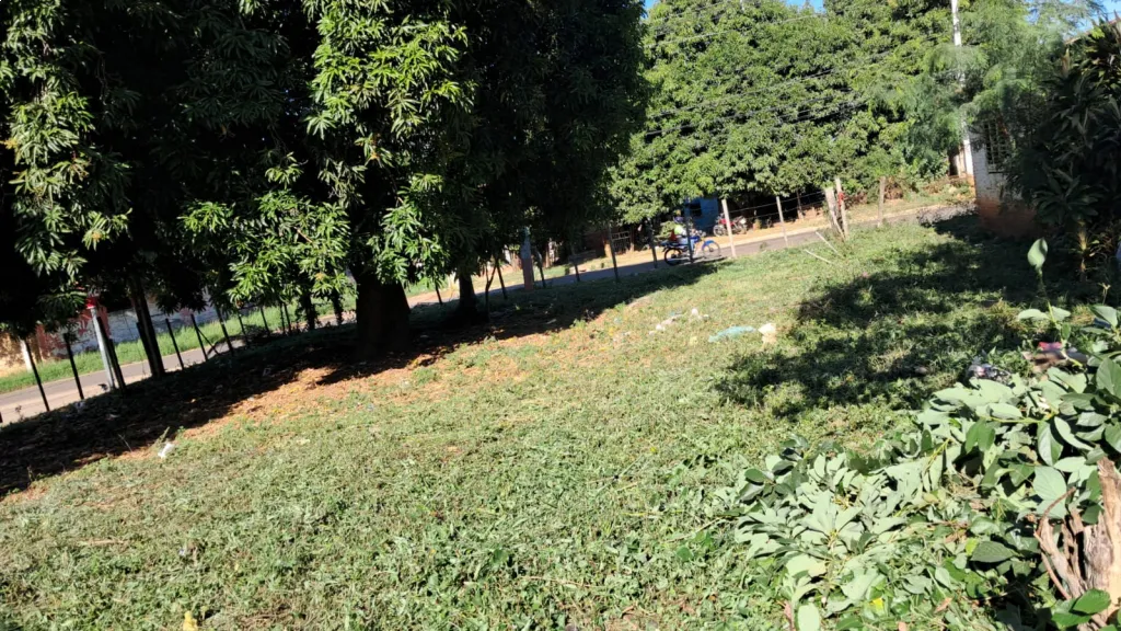 Vendo Terreno San Lorenzo — foto 2