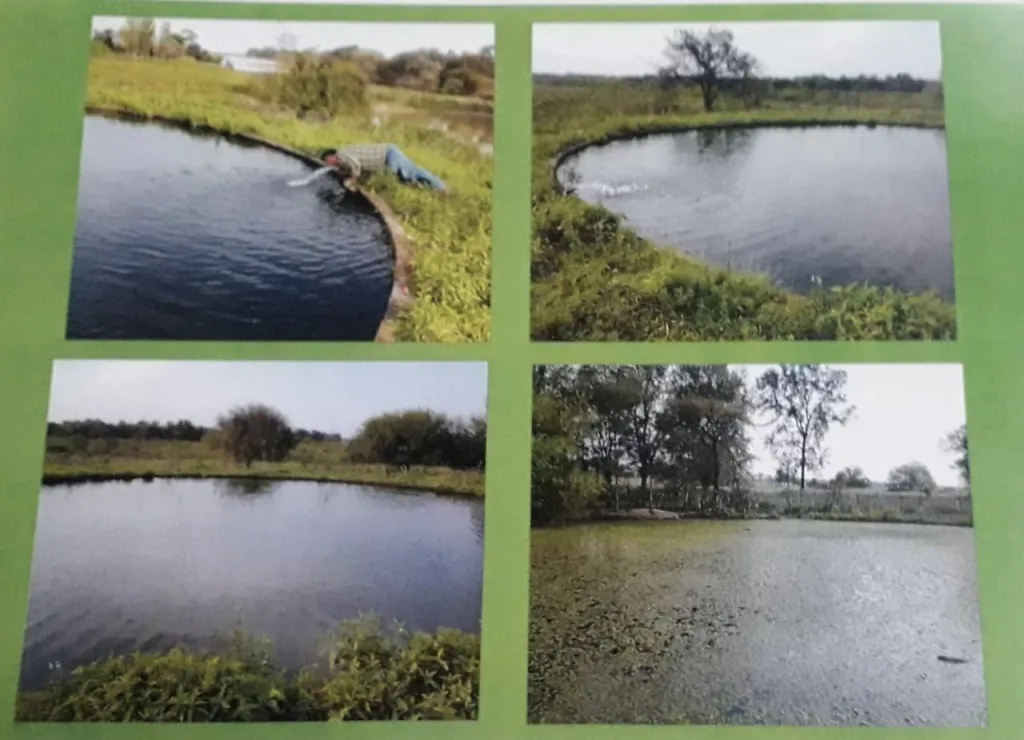 VENDO ESTANCIA EN EL CHACO, EXCELENTE OPORTUNIDAD PARA INVERSION! BUENA UBICACION — foto 3