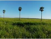 VENDO ESTANCIA DE 6241 HECTAREAS EN BENJAMIN ACEVAL