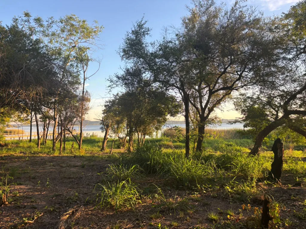 VENDO TERRENO SOBRE EL LAGO EN SAN BERNARDINO — foto 2
