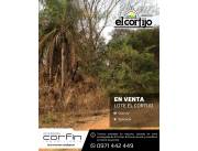 EL CORTIJO, 500M2 EN ESQUINA, ARBOLADO A UNA CUADRA DE LA DOBLE AVENIDA LOS LAPACHOS