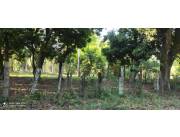 VENDO PROPIEDAD DE 8.085 M2 EN SAN JOSE DE LOS ARROYOS