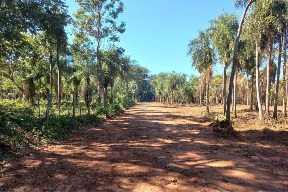 Terreno Ideal en Itauguá: 19,000 m² para Soñar — foto 2