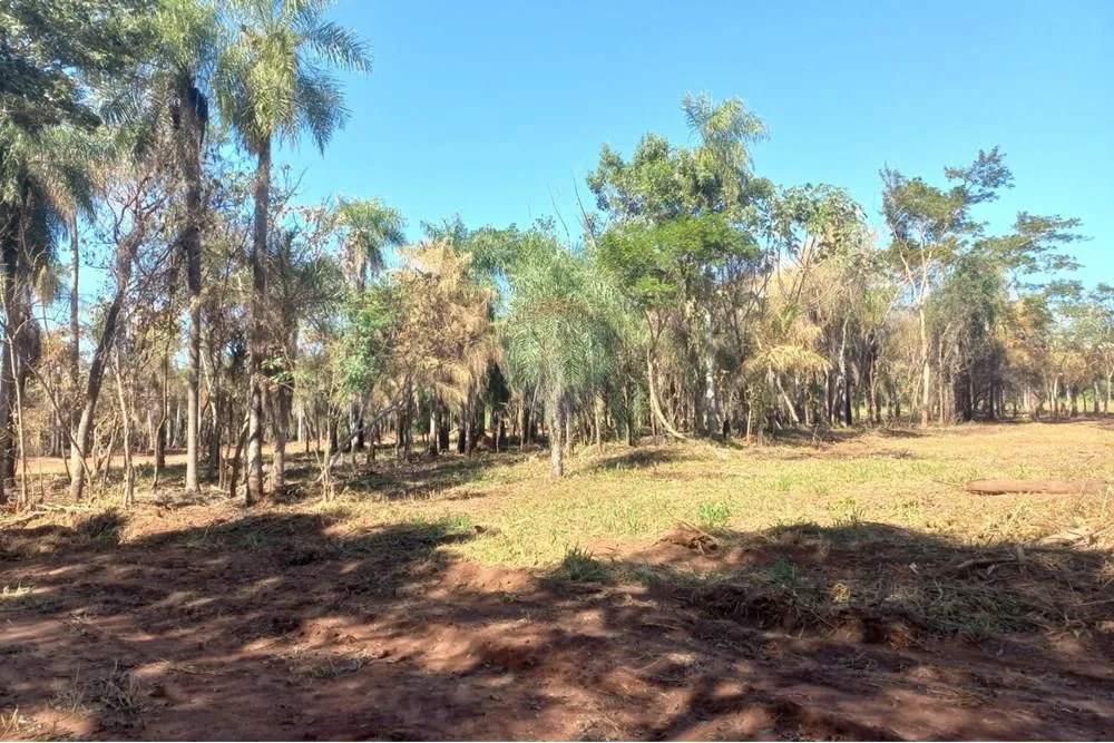 Terreno Ideal en Itauguá: 19,000 m² para Soñar — foto 3