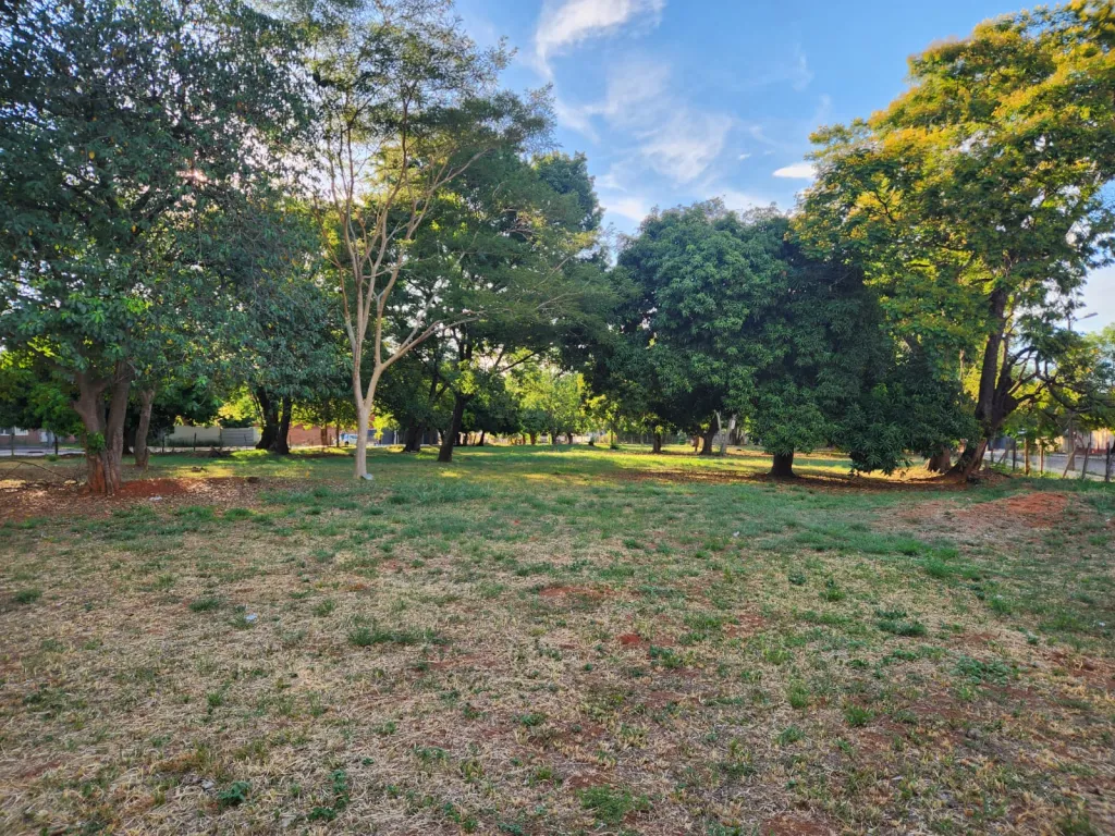 En Venta terreno — photo 3
