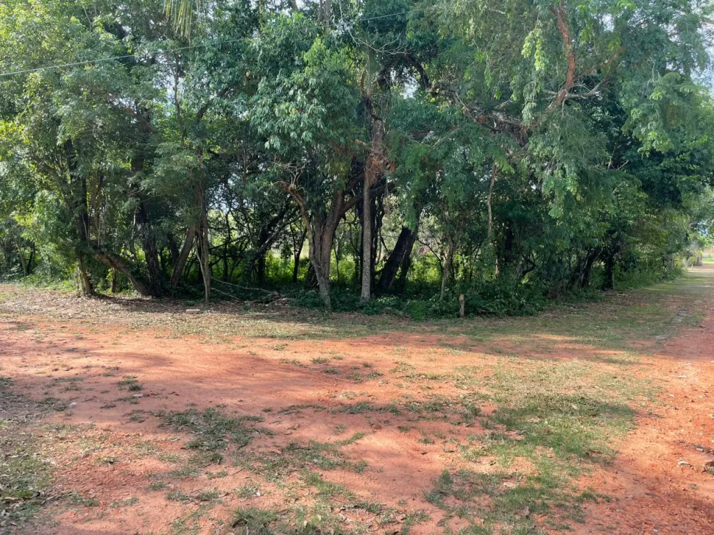 Vendo Terreno en Esquina, Barrio Cerrado, Ypacaraí - LLA7005710 — foto 3