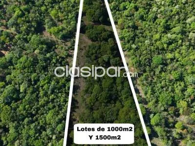 Venta de Terreno en San Bernardino, Cordillera — foto 2