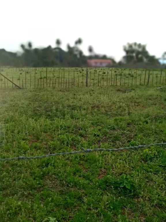 EN OFERTA!! AMPLIO TERRENO EN CABAÑAS - CAACUPÉ — foto 3