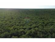 EN VENTA CAMPO DE 312 HAS.