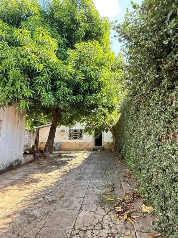 VENDO TERRENO CON CONSTRUCCIÓN A DEMOLE - EN VILLA ELISA — foto 2