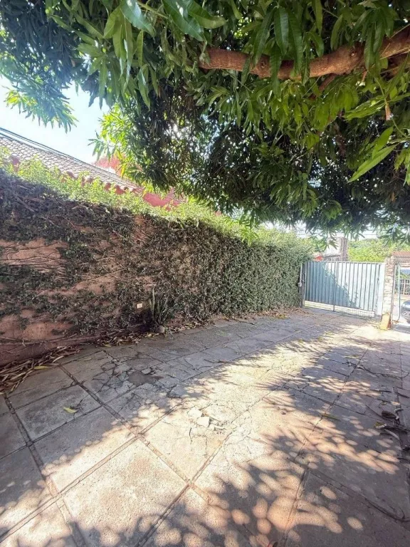 VENDO TERRENO CON CONSTRUCCIÓN A DEMOLE - EN VILLA ELISA — foto 3