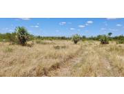 Campo Ganadero en Benjamín Aceval - 328 Ha.