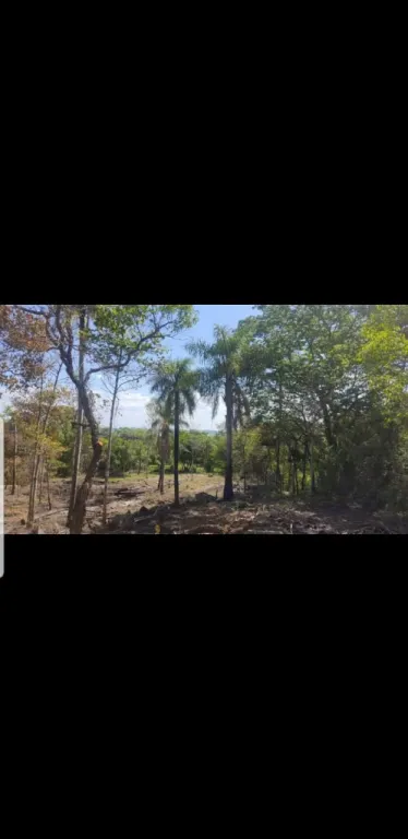 VENDO DOS HECTAREAS EN SAN BERNARDINO COD 3287 — photo 2