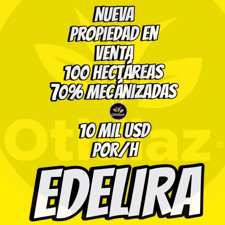 100 hectáreas en EDELIRA — foto 2
