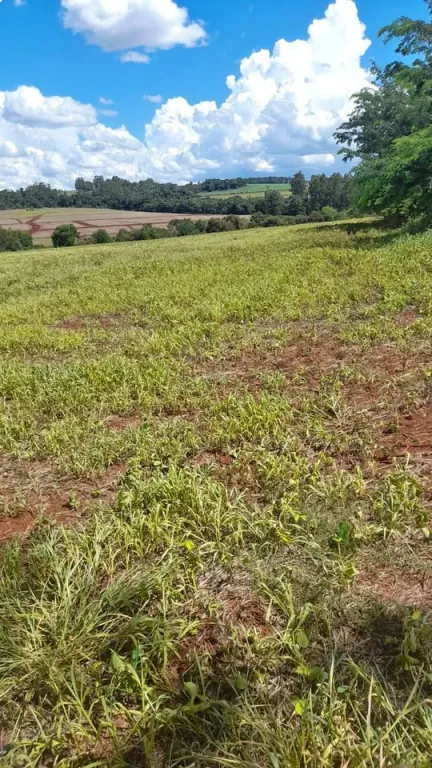100 hectáreas en EDELIRA — foto 3