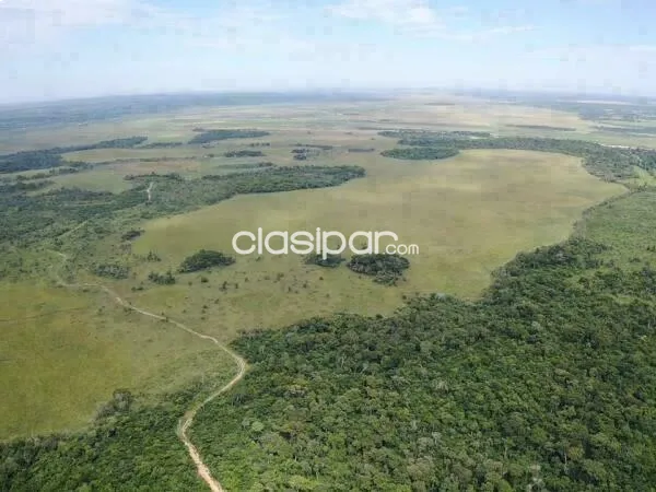 5756 HAS EN ITAKYRY ALTO PARANÁ — foto 3