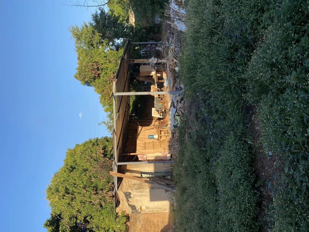 Vendo terreno en la ciudad de Villa Elisa — foto 3