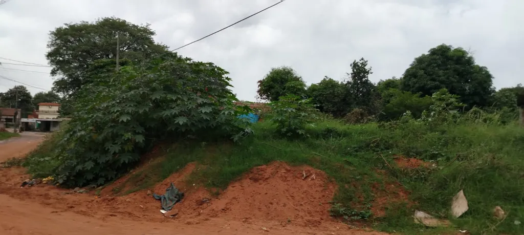 Terreno en Esquina en Villa Elisa — foto 2