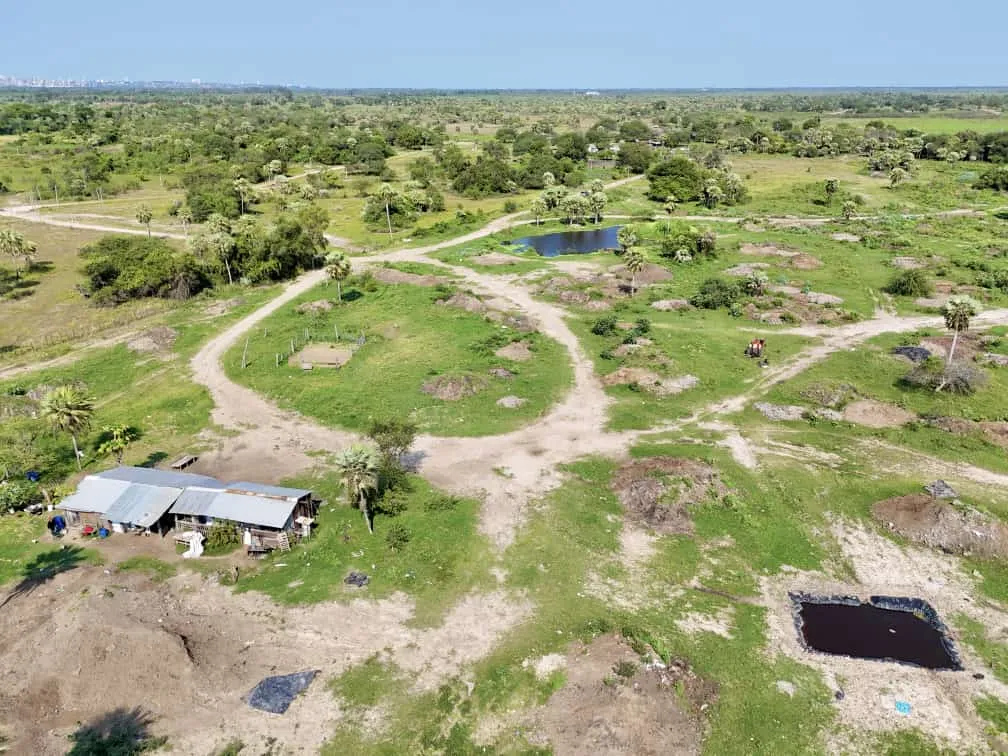 En venta – 50 hectáreas en José A. Falcón — foto 3