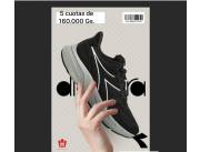 Champion Diadora