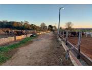 VENDO CONFINAMIENTO 20 HA.GANADERO-CONCEPCIÓN/BELEN C/LOS CERTIFICADOS MADES Y ESTRUCTURA