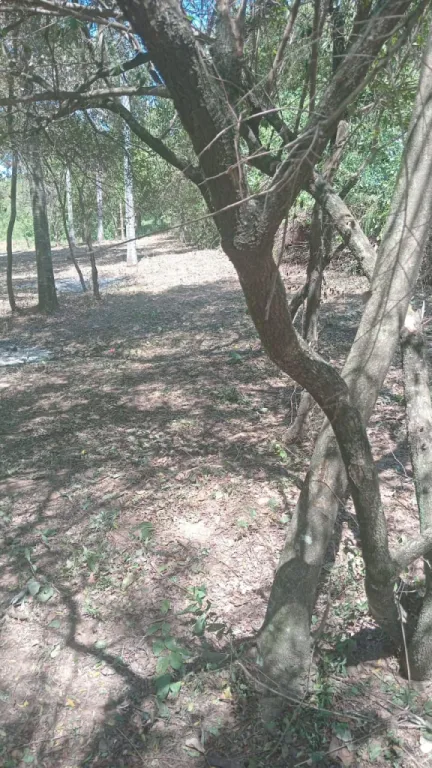 Vendo terreno camino al mirador de Tobati — foto 3