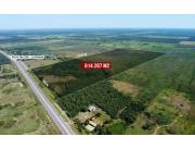 VENDO 61 HAS. con 4.287 m2 EN CHACOÍ SOBRE RUTA 9
