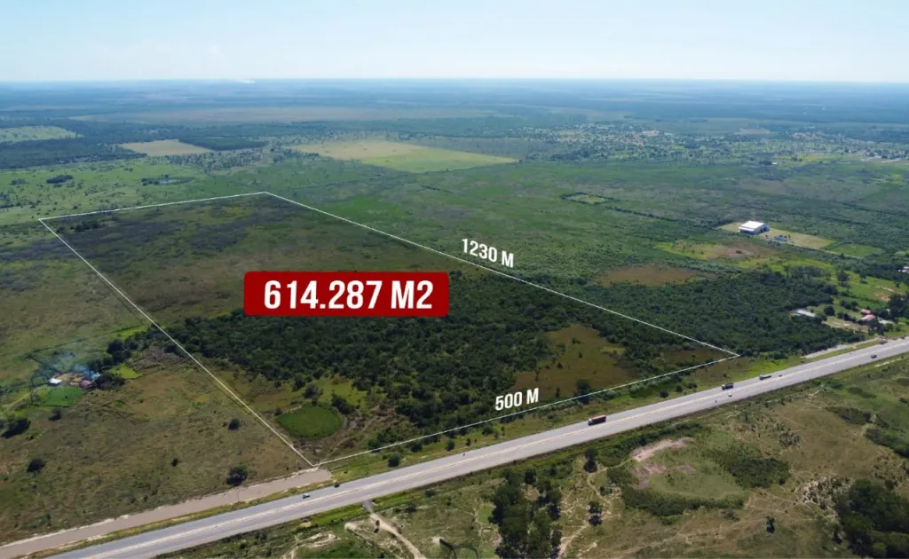 VENDO 61 HAS. con 4.287 m2 EN CHACOÍ SOBRE RUTA 9 — foto 2