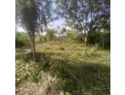 Vendo terreno