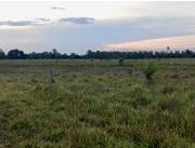 Alquilo Campo Agrícola a Mecanizar en Caazapa - 500 Ha.