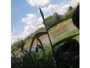 VENDO CAMPO DE 557 HECTAREAS EN CORDILLERA SOBRE RIO