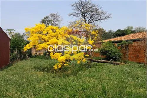 Terreno en Venta en Central Mariano Roque Alonso Central Pirizal casi Bernabé Zuáres Pir — foto 3