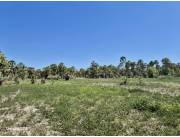Campo Agrícola/Ganadero en Toro Pampa - 5300 Ha.