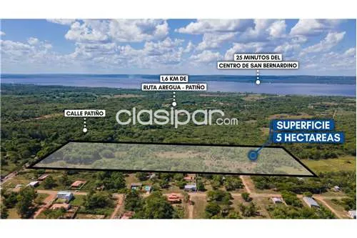 En venta importante terreno de 5 HECTÁREAS en Itauguá — photo 3