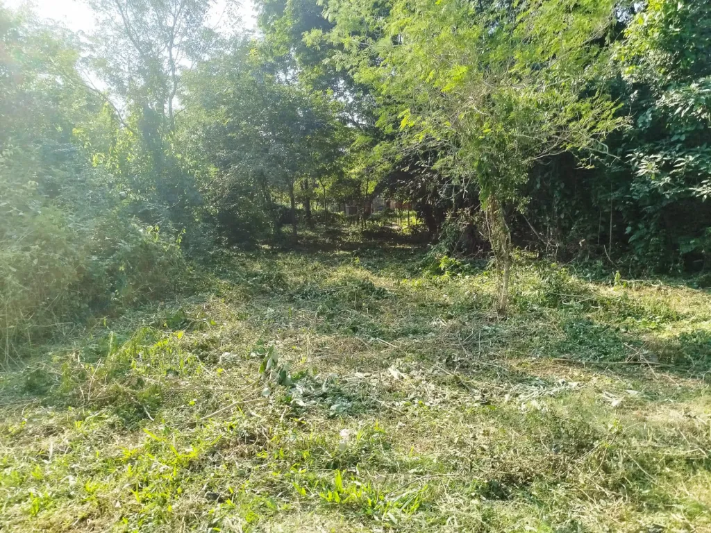 Vendo Propiedad — foto 3