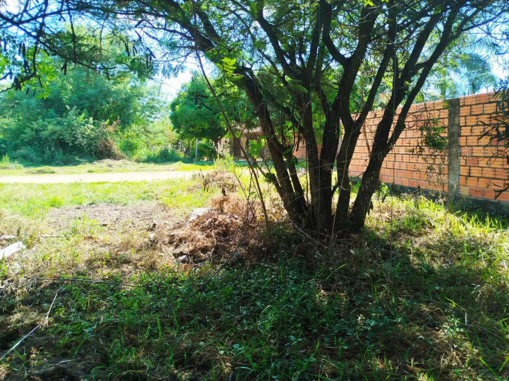 Vendo terreno — foto 2