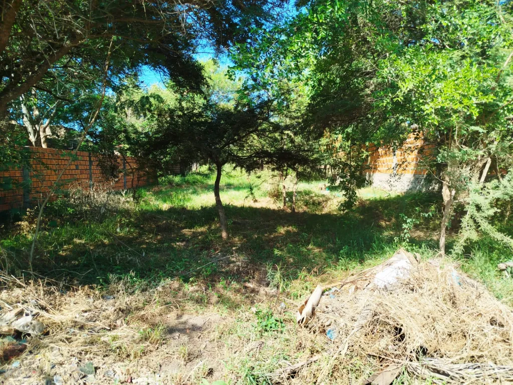 Vendo terreno — foto 3