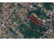 TERRENO EN CAPIATA ENTRE RUTA 1 Y 2 de 1 hectarea