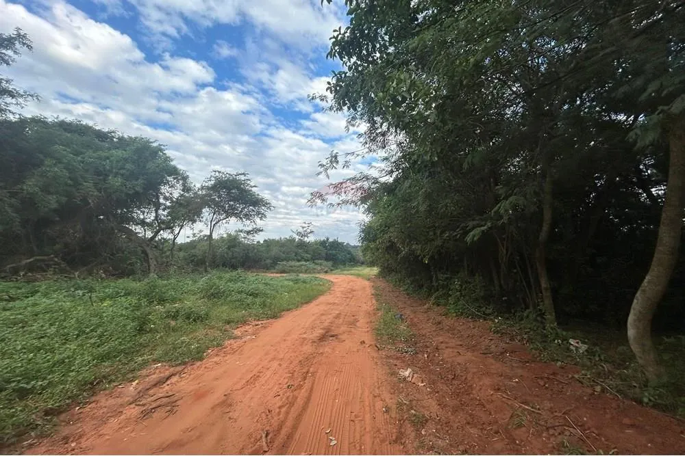 TERRENO EN CAPIATA ENTRE RUTA 1 Y 2 de 1 hectarea — photo 2