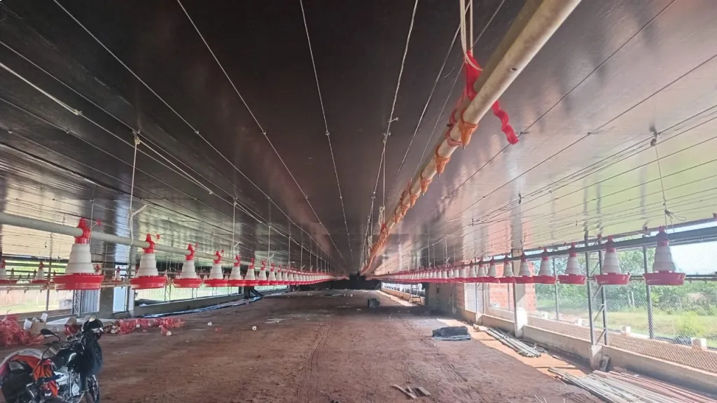 VENDO ESTABLECIMIENTO INDUSTRIAL AVÍCOLA UBICADO EN PEDROZO ENTRE CAACUPE Y PIRAYU — foto 2