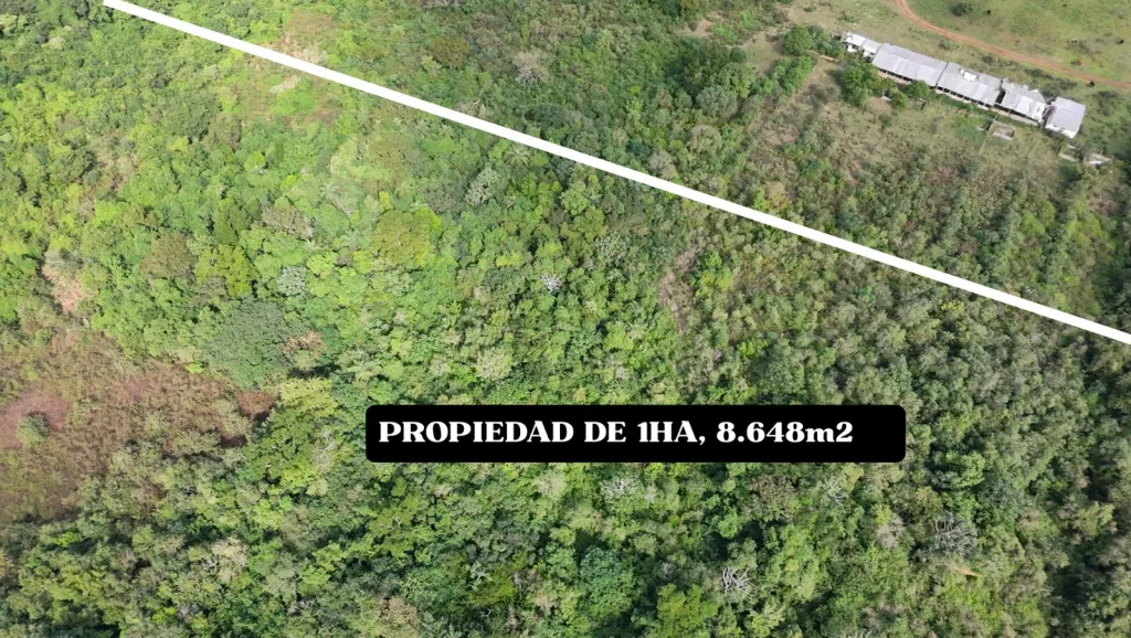 VENDO PROPIEDAD DE 1HA, 8.648m2 YATAITY - CAPIATÁ — фото 2