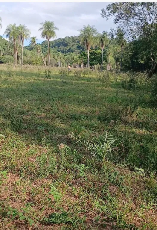 Urgente Remato Terreno con Arroyo — foto 2